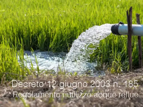 Decreto 12 giugno 2003 n. 185